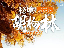 【秘境胡杨林】额济纳旗双飞六日游 深度游双胡杨沙漠居延海双奇观