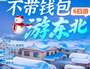 【不带钱包游东北】哈尔滨 亚布力滑雪童话雪乡-肖克庭院6日游