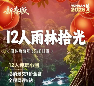 【雨林拾光】直达版纳4晚5天纯玩之旅 12人团