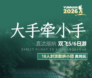 【大手牵小手】西双版纳纯玩5或6日亲子游   18人团