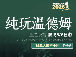 【纯玩温德姆】版纳直飞5/6日游 15成人团