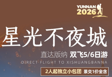 【星光不夜城】直达版纳5/6日游  4晚连住同一家酒店