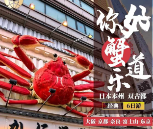 【11-12月】日本本州经典6日游 一价全含