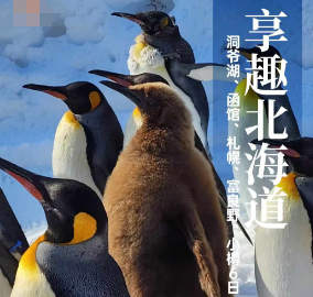 【4-9人小包团】享趣北海道6日纯玩游 升级函馆1晚