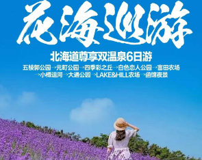 【7-9月暑期】日本北海道限定薰衣草尊享双温泉6日游