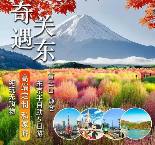 【奇遇关东】东京纯玩半自助五日游  2-8人私家团