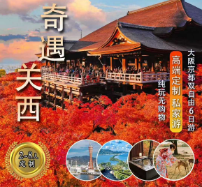 【奇遇关西】日本高端定制六日游 2-8人私家团