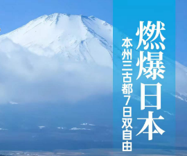 【燃爆日本】日本三古都双自由7日游  2-9人精品团  大阪1天自由行 + 东京1天自由行
