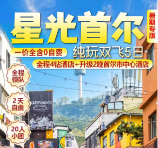 【星光首尔】首尔 景福宫 青瓦台 三八线 明洞双飞5日游