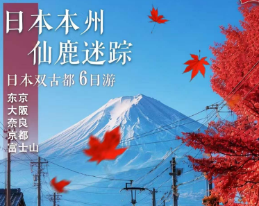 【红枫季】日本本州经典6日游   东京进，大阪出
