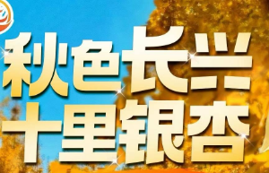 <长兴湖州一日>长兴八都岕·十里银杏长廊+空王教寺祈福+南浔古镇