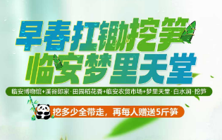 <临安挖笋四日游>临安博物馆+溪谷郎家·田园稻花香+临安农贸市场+梦里天堂·白水涧·挖笋