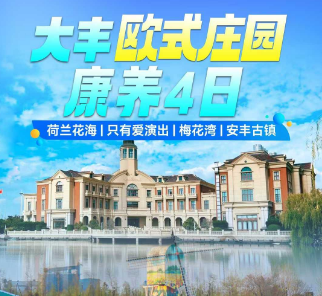 <大丰欧式康养四日>荷兰花海《只有爱》-梅花湾-安丰古镇