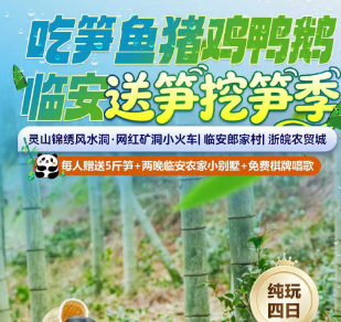 <临安挖笋4日游>灵山锦绣风水洞·网红矿洞小火车+临安郎家村+浙皖农贸城+体验早春挖笋