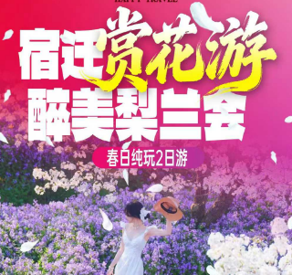 <宿迁二日游>项王故里-三台山梨兰会-龙王庙行宫-皂河龙运城